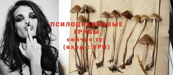 PSILOCYBIN Верхнеуральск